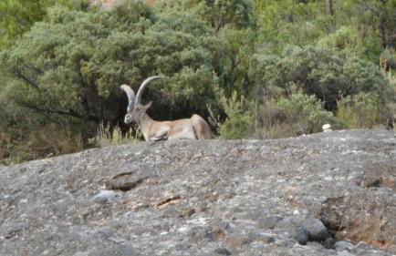 Casa De Vacances La Vella Era - Foto 25