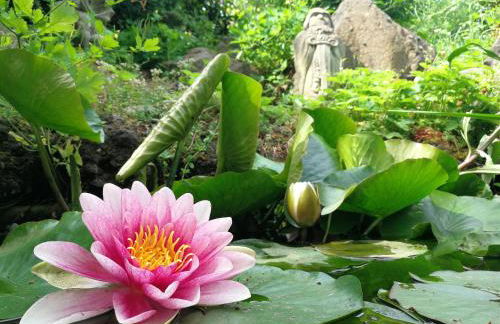 Wandertraum Johann - FeWo Eifel - Foto 17