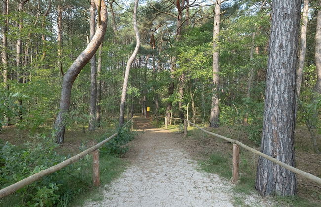 Turquoise Apartment Rogowo by Renters - Photo 32