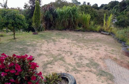 Chácara Chiafarelli - Photo 6