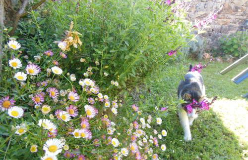 Les Hauts de Sentelines cottage - Foto 6