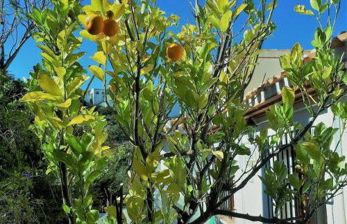 Villa de la Luz - Photo 51