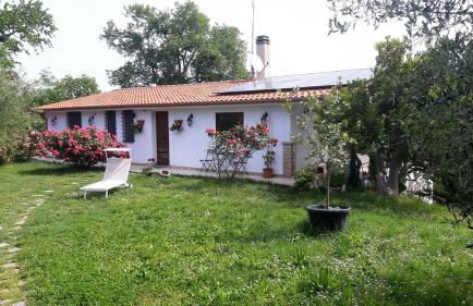 Bed & Breakfast Parco di Veio - Foto 10