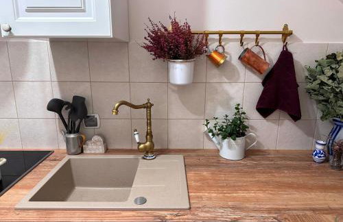 Bezkresne- Domy w Sidorach - Foto 60