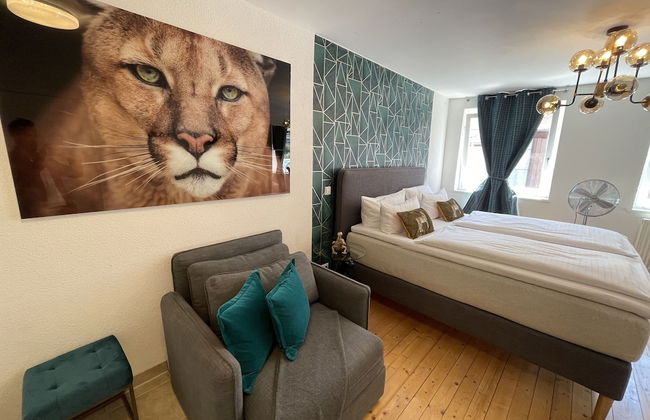 Deluxe Studio La Gatita Amable - Foto 9