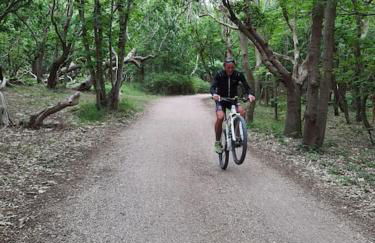 Freistehendes Haus im Nationalpark Gemünd mit E-bike Option! - Foto 44