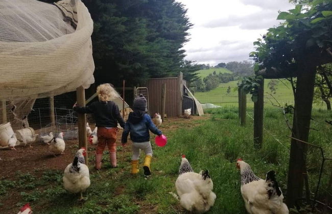 Jilly Park Farm Interactive Experience - Foto 36