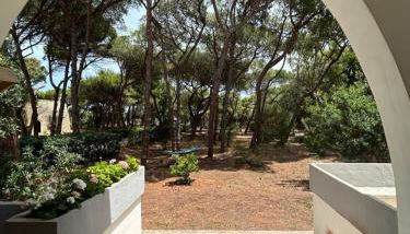 Villa Emma - Foto 5, Garden, Garden view