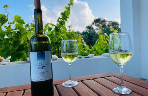 Anevalousa Beach House - Foto 64