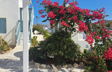 Ariadne Pool Studio at Ornos - Foto 16