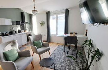 La porte Bleue - appartement juste rénové - très propre - grand confort - lumineux - calme - centre historique - Foto 10