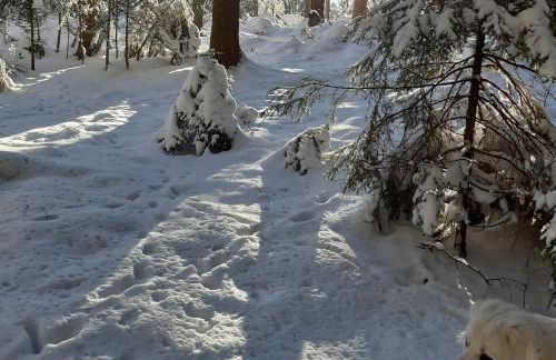 Oberengenbachhof - Foto 9