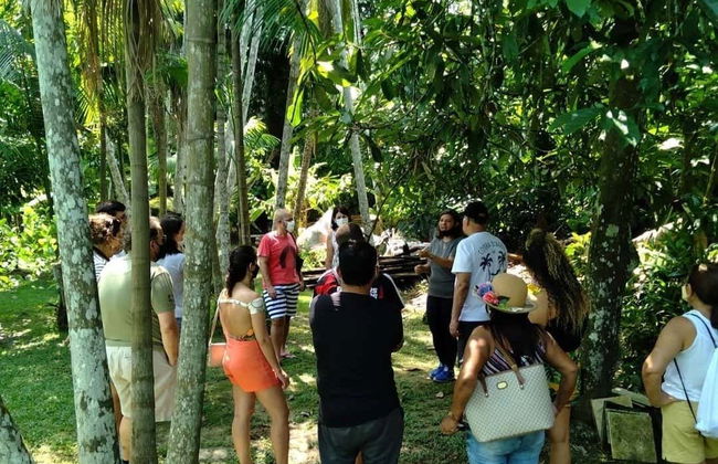 Paseo en barco por la isla de Combú - Foto 4