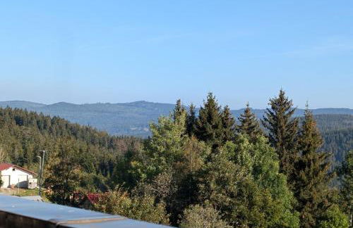 Ferienwohnung am Almberg - Foto 28