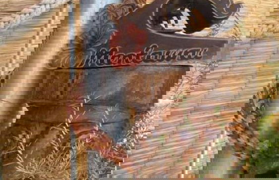 Essência da Guarda Surf House - Photo 29