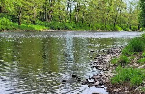 Ferienhaus Naturregion Sieg bis 6 Personen - Foto 40