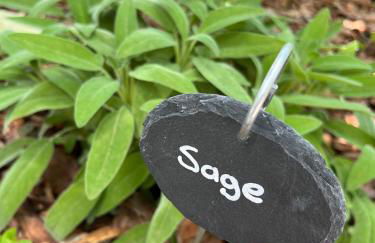 La Casa dei Glicini - Foto 27