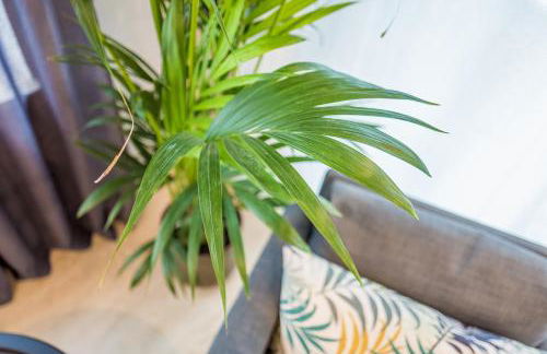 Modernes Apartment in Zentrumsnähe mit eigenem Stellplatz - Foto 45