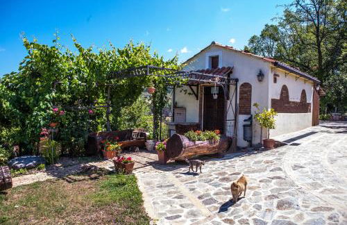 Casa sull'albero Bocchineri - Photo 33