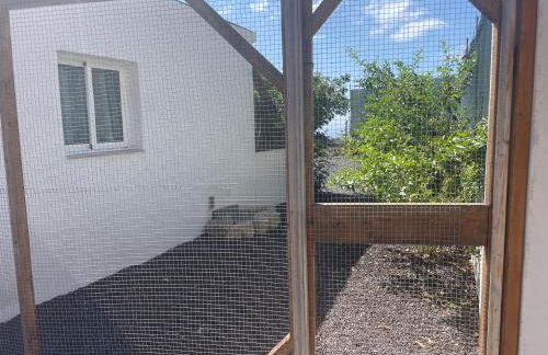 Nature Escape Tenerife - Foto 2