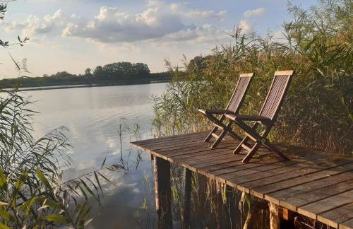 Ferienhaus am grossen See in Fuerstenwerder - Photo 1