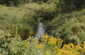 Przystanek Zielnik - Foto 32