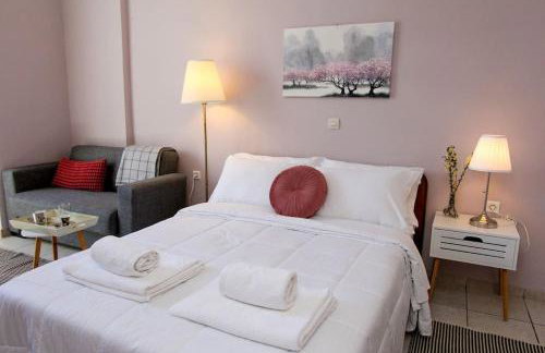 Κεντρικό κομψό ήσυχο στούντιο. - Foto 1