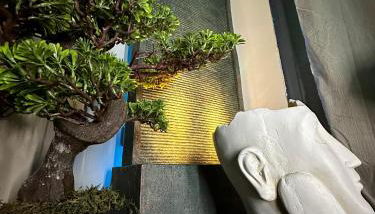 NEW PROCHE NAUSICAA ! « Mille et Un Rêve » - Photo 3