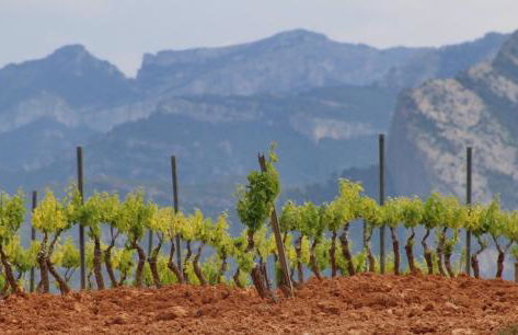 La Casa dels Abeuradors - Foto 67