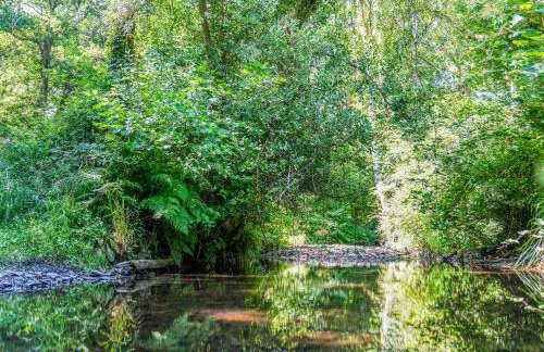 Bluebell Lodge - Uk50875 - Foto 9