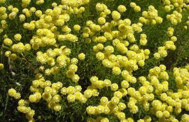Les Gites du Mont Ventoux - Foto 60