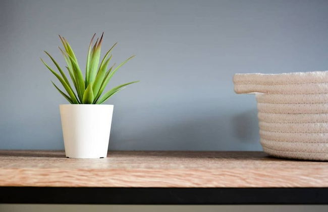 Maple House Bristol - Foto 20