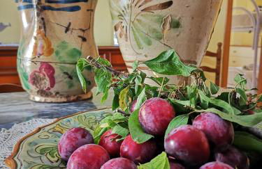 Villa Felice Marzamemi - Foto 33