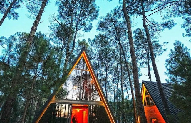 Seaside Chalet Guruli Kokhebi - Photo 31