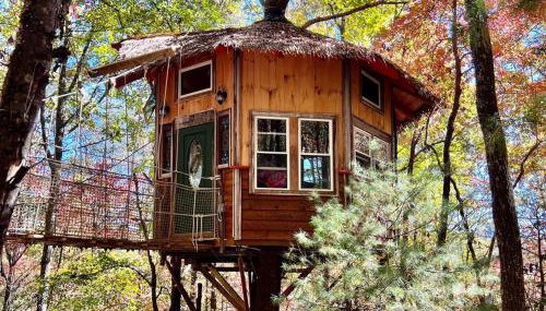 Magical Treehouse Mountain Views Dog Friendly - Foto 3