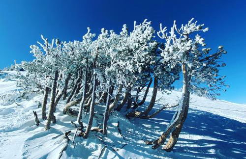 Mammoth Awesome Location-1 min to Shuttles & Food! TOML-CPAN-11402 - Foto 30