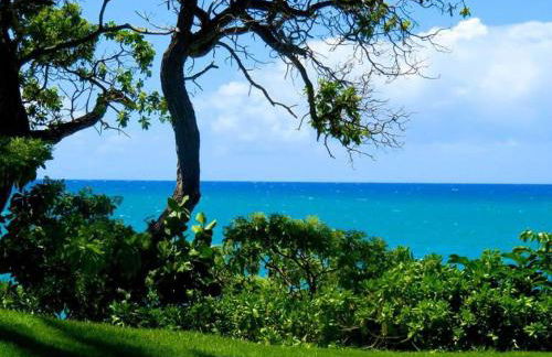 Golf Course Serenity at Turtle Bay - Photo 27