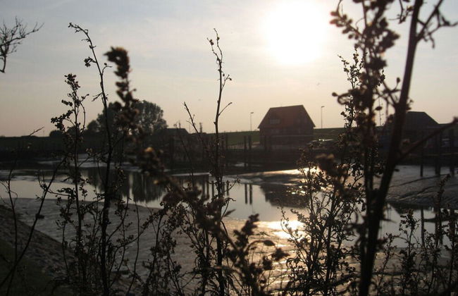 Roof-only House Modern Retreat - Photo 20