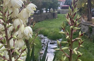 Urban River House - Foto 68