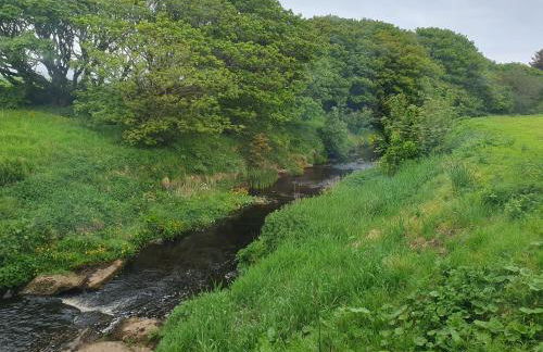 Woodwick Mill - Kiln & Sheafy Apartments - Photo 10