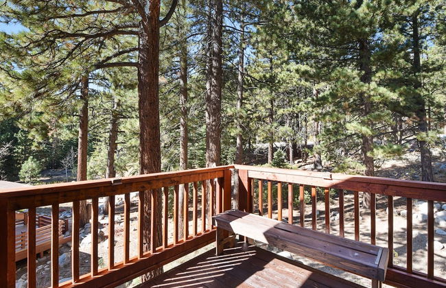 Mountain Bear Lodge - Foto 46