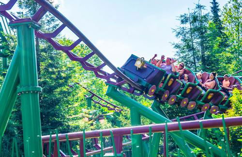 La Maison Majorelle - Foto 21