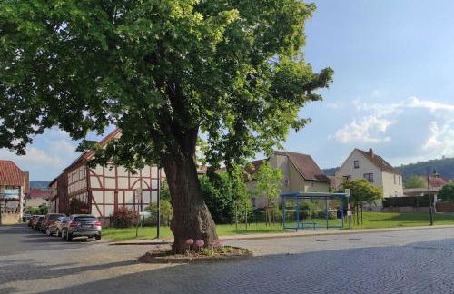 cosyTinyhouse Großburschla - Foto 16