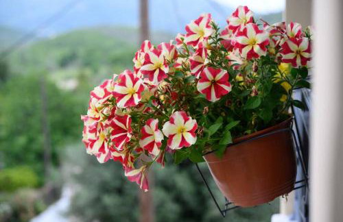 Anastasia & Filippos house - Foto 27