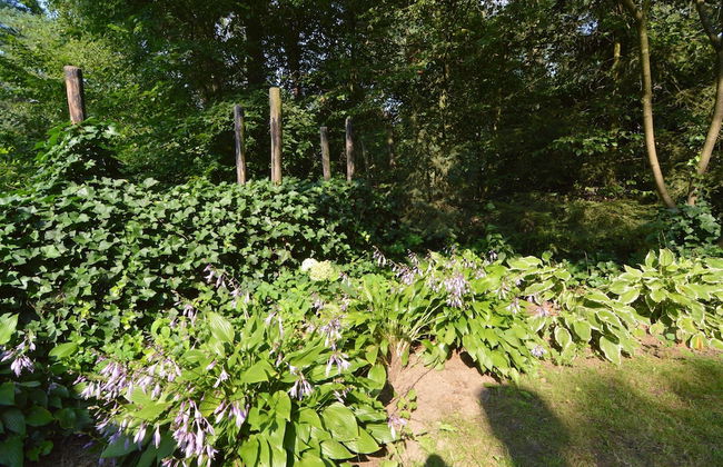 Refined Holiday Home in Guelders near Forest - Foto 21