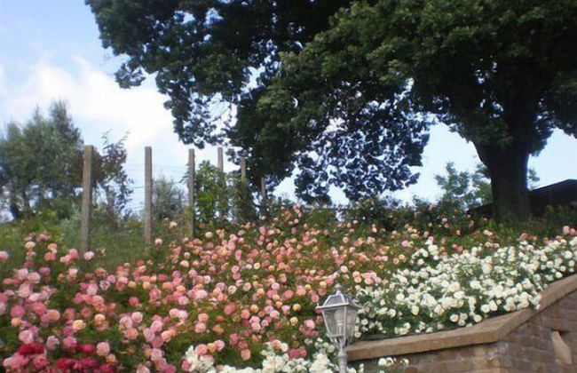 Agriturismo Colle delle Querce - Foto 7