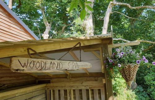 The Potting Shed near Tenby, 100" Projector, Four poster bed, On-site HOT TUB access via Spa Pack - Photo 19