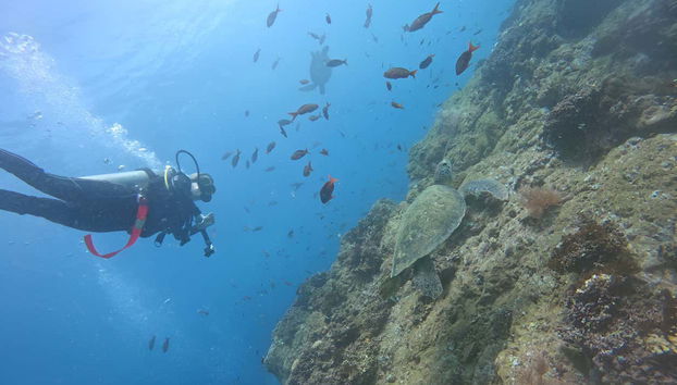 Scuba Diving on Isla del Caño - Foto 5