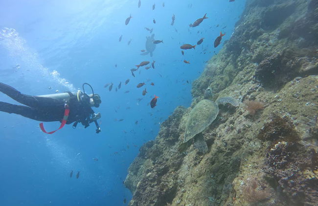 Plongée sur l'île del Caño - Photo 5