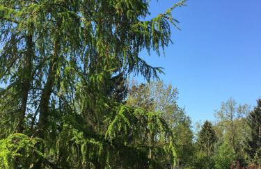 Ostseeruhe - Foto 14